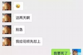 西藏专业催债公司的市场需求和前景分析